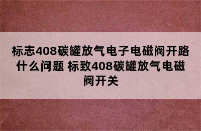 标志408碳罐放气电子电磁阀开路什么问题 标致408碳罐放气电磁阀开关